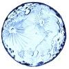 Bluemoon Technologies logo