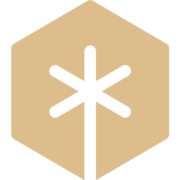 Solution Interface, LLC logo