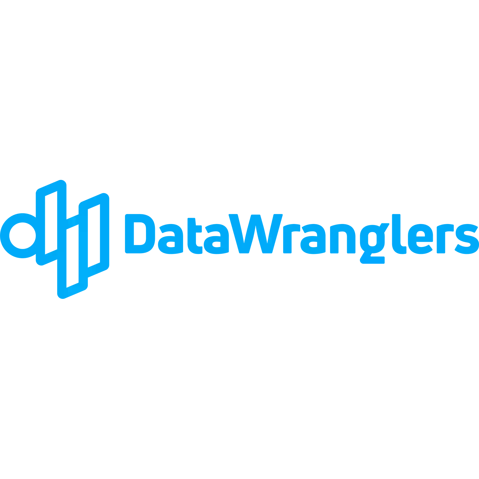 Data Wranglers logo