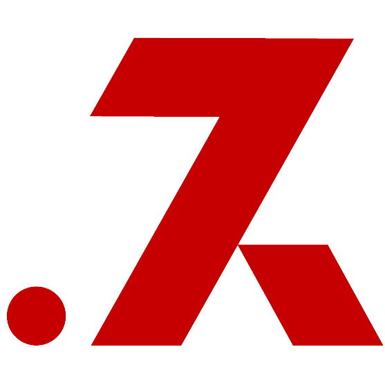DartZ IT Solutions logo