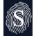 Stern Security logo