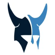 Viking InfoTech LLC logo