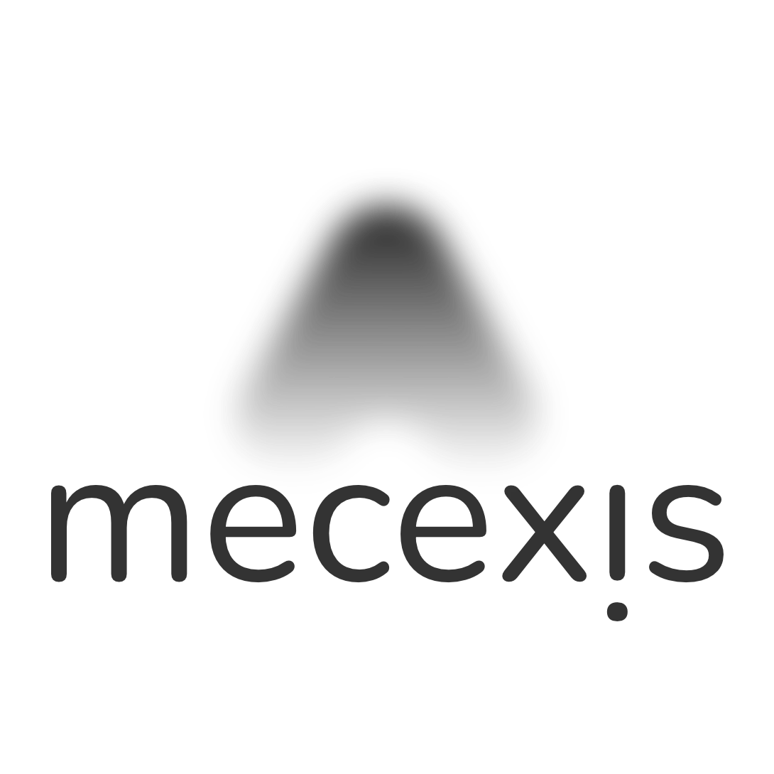 Mecexis Studio SL logo