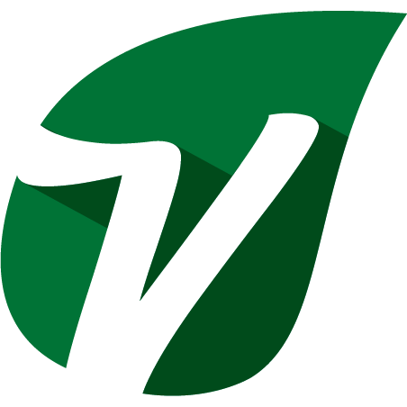 Vine Technology Solutions logo