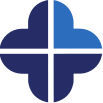 Lucky 13 Solutions logo