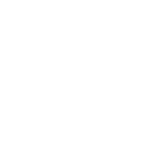 PaoCapital logo