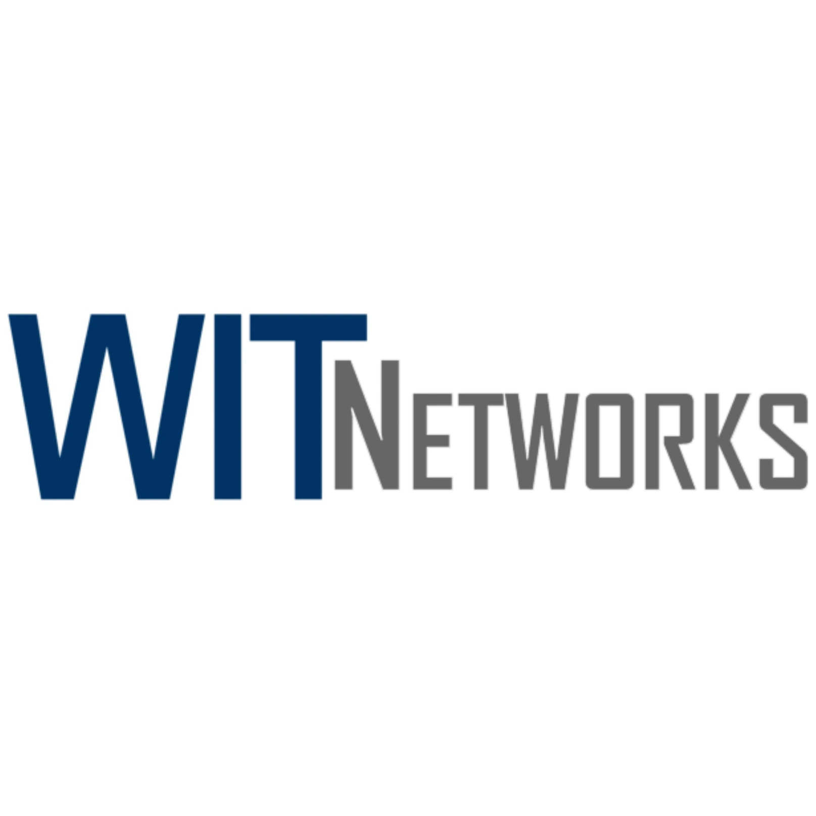 Witnetworks logo