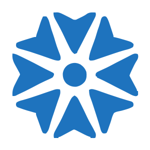 Chrysalis Consulting LLC logo