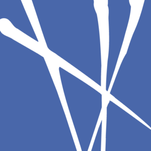 The Blue MBA Association