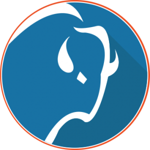 BisonTech Consulting logo