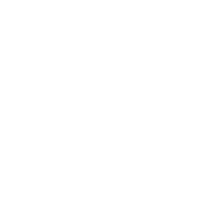 Fortitude Systems logo