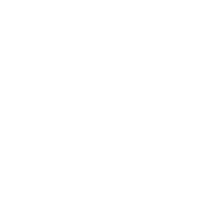 New Point Systems logo