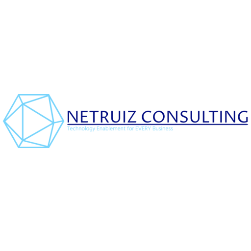 NetRuiz Consulting LLC logo