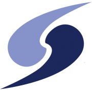 Ford IT Solutions logo