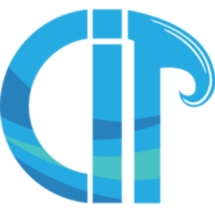 Coastal Industrial Technologies logo