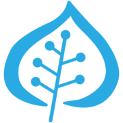 Blueleafsecurity logo
