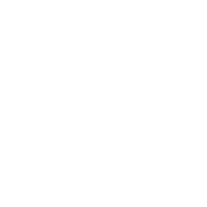 Externetworks logo