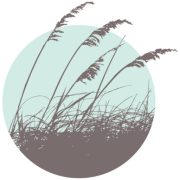 Best Life Coaching LLC logo
