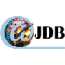 JDB Technology Solutions logo