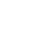 Service Excellence Partners logo