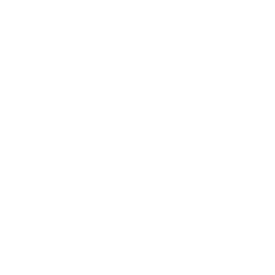 Stellar Phoenix Solutions LLC logo