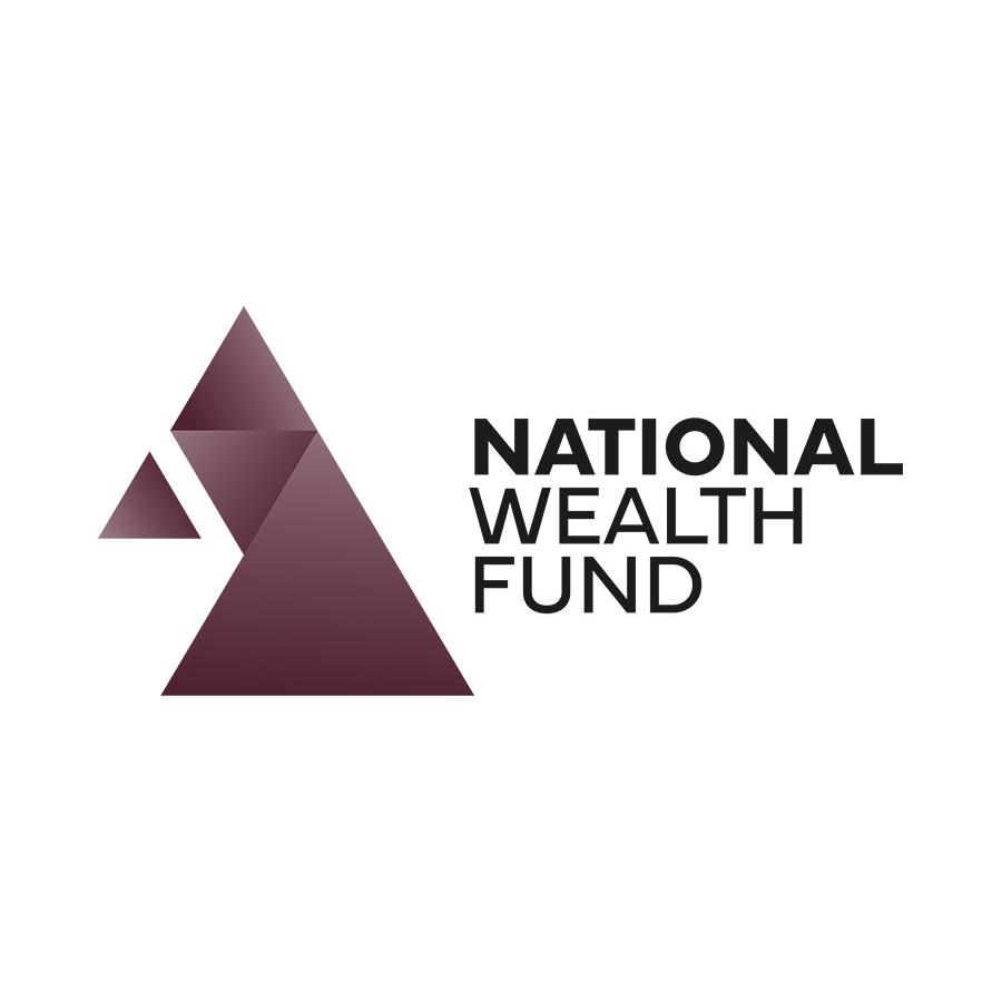 National Wealth Fund logo