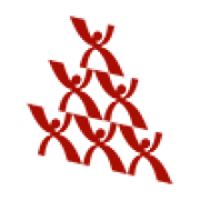 MAKINSIGHTS logo