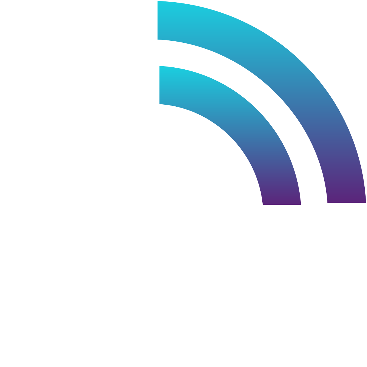 Rivas Technology Group logo