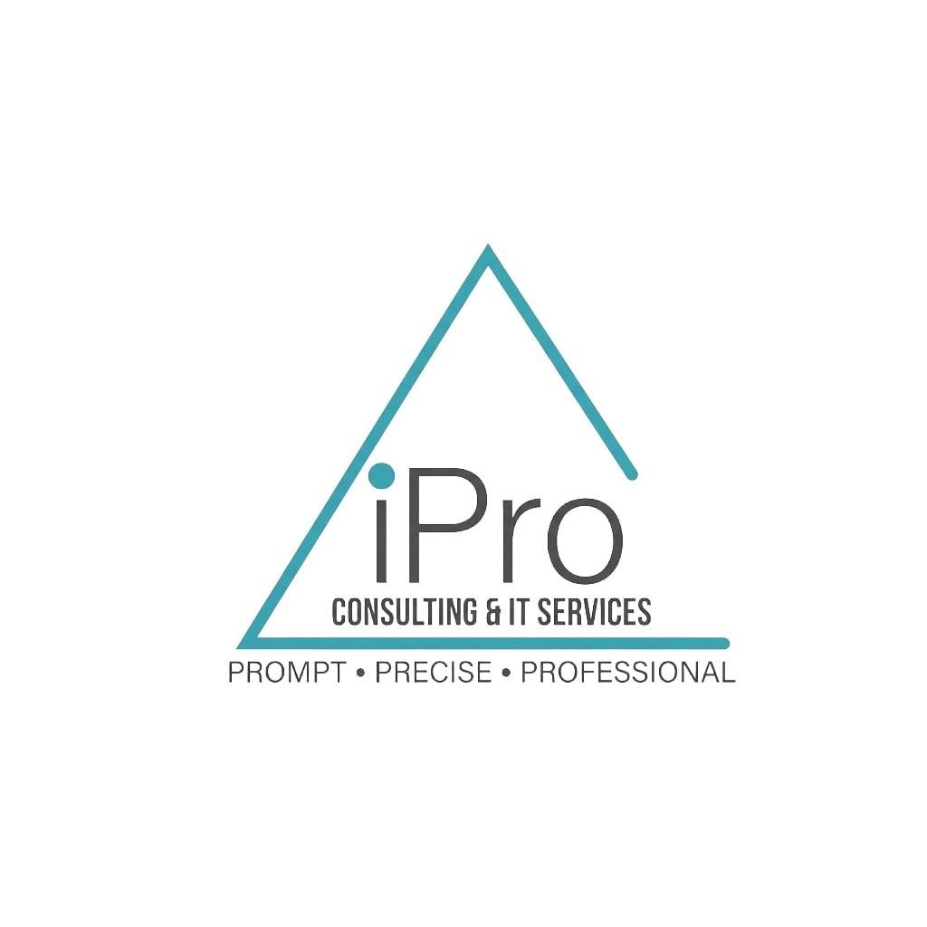 iPro Consulting & IT Services, LLC logo