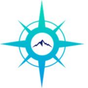 Technology Navigation Inc. logo