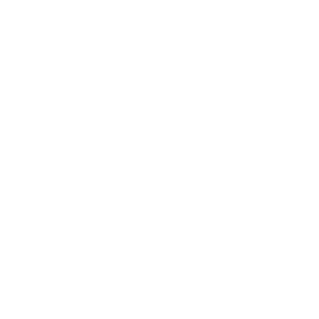 Darkstone Cyber logo