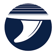 Single Fin logo