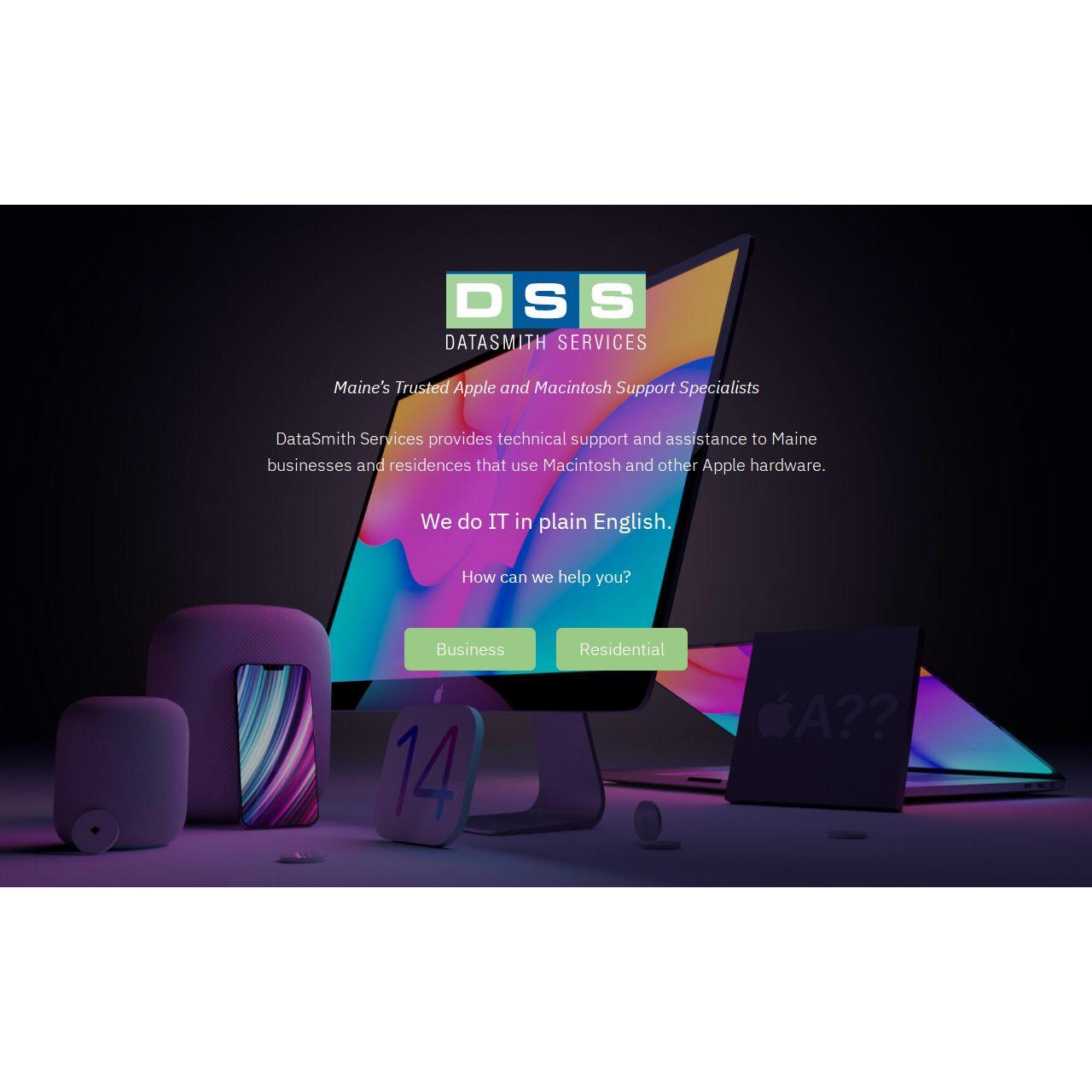 DataSmith Services logo