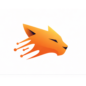Wildcat IT logo