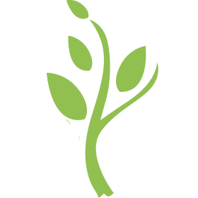 anySiteSolutions logo