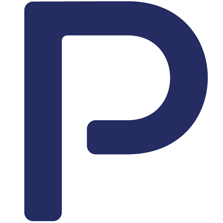 Plyzer Technologies Spain, s.l. logo