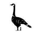El Ganzo logo