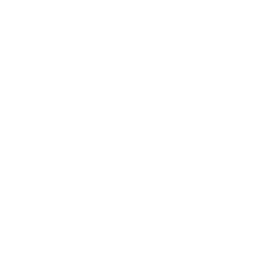 Net2Vault logo