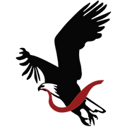 American Indian Consulting Services logo