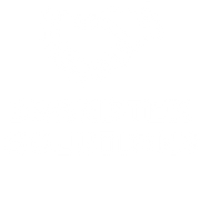 Brandtek Solutions logo