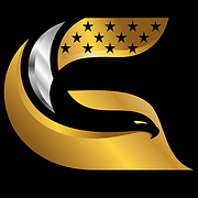 Gi4 logo