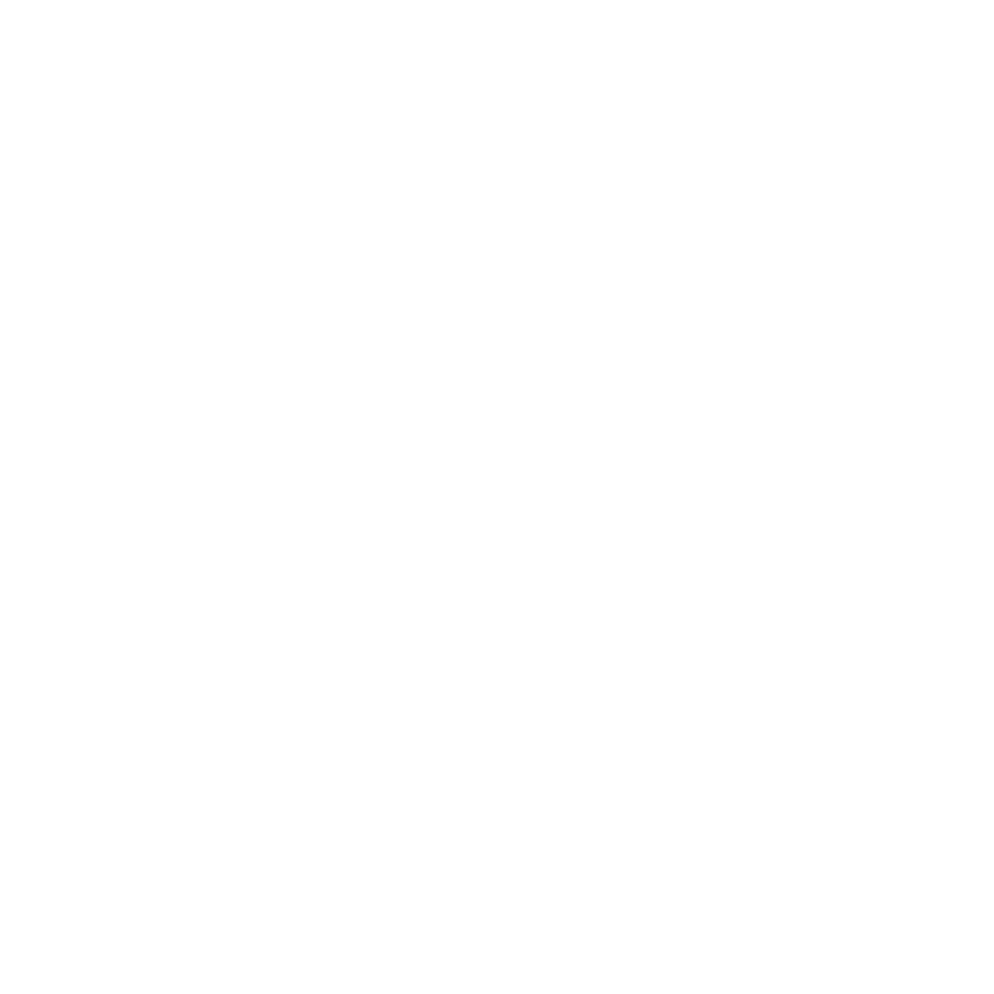 Digital Insyte logo