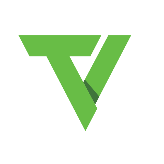 TechVoo® logo