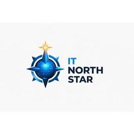 Itnorthstar logo