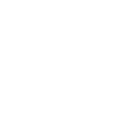 SMaRT Technology Services logo