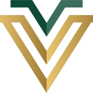 VLaunch Solutions logo
