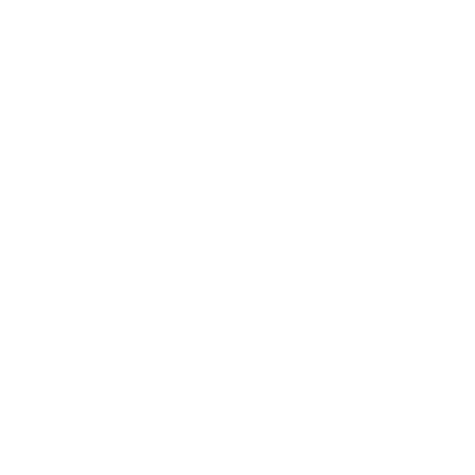 Proline Technical Staffing & Consulting, LLC logo