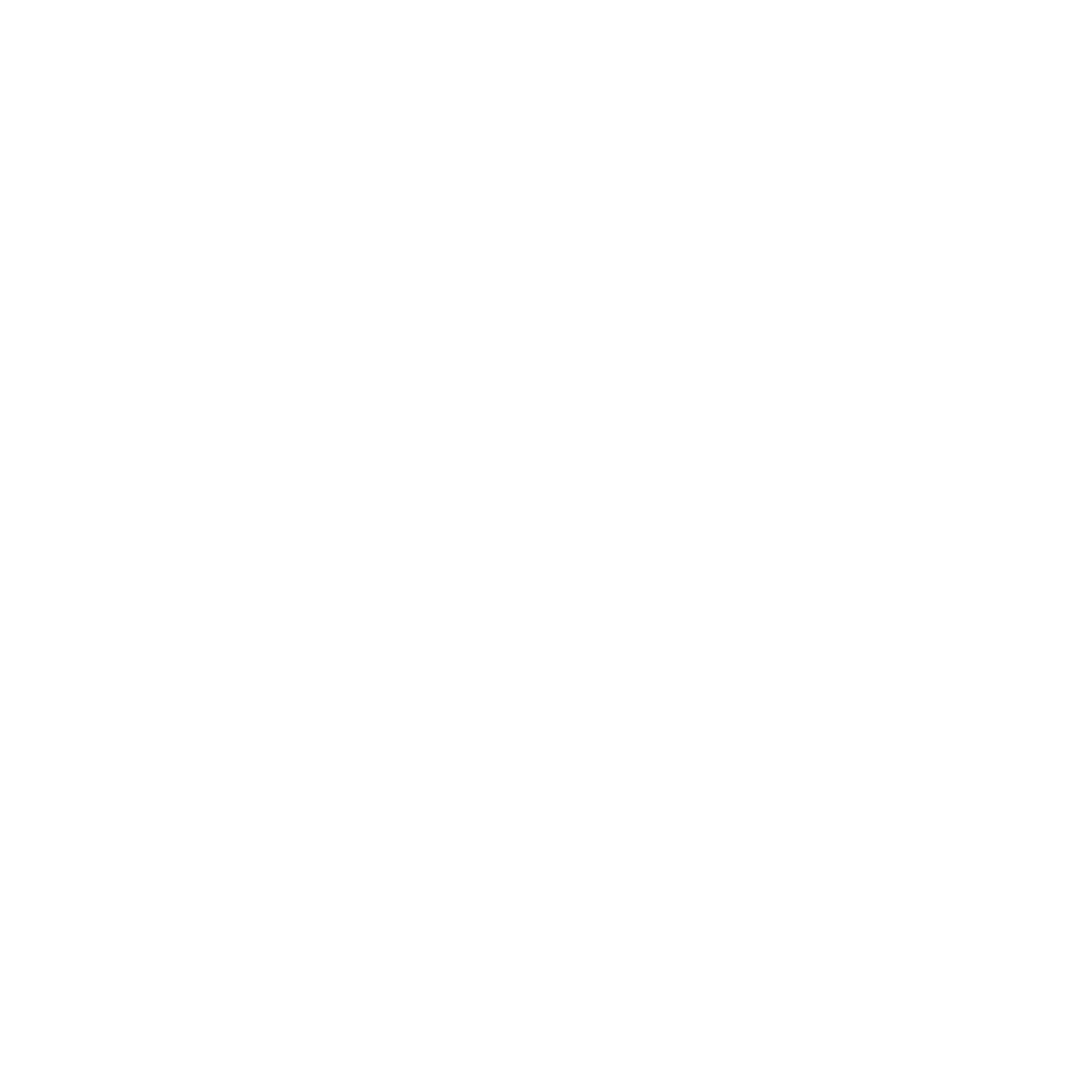 Fiber Solution Consulting logo