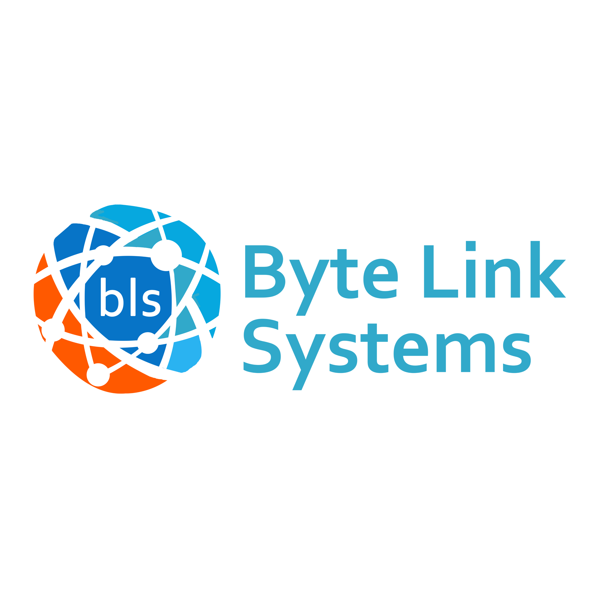 ByteLink Systems logo