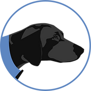 Pathfynder logo